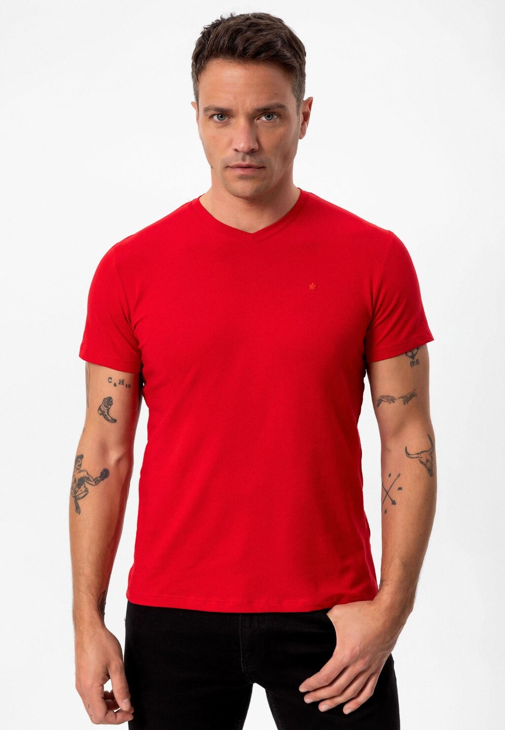 

Базовая футболка SINO V NECK REGULAR FIT anou anou, синий