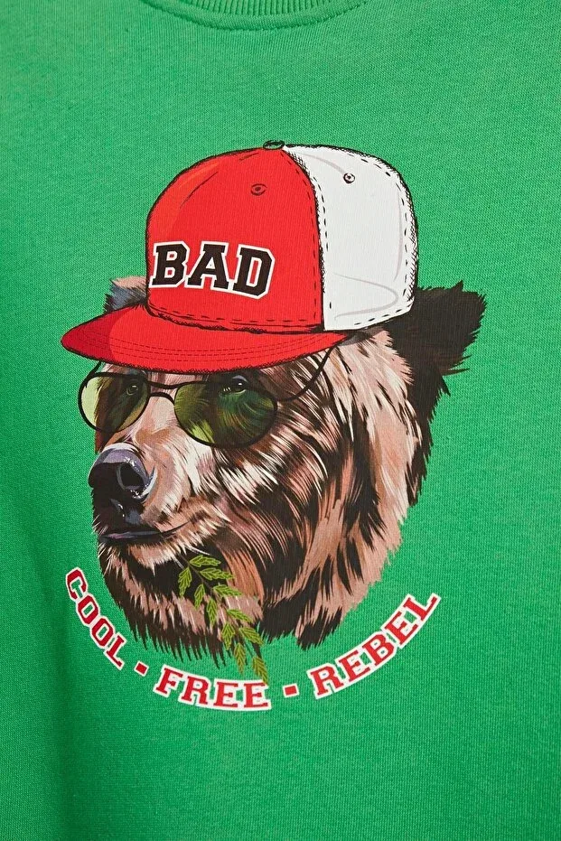Детское для девочек свитшот с принтом Rabel crewneck Bad Bear, Green — фото 2