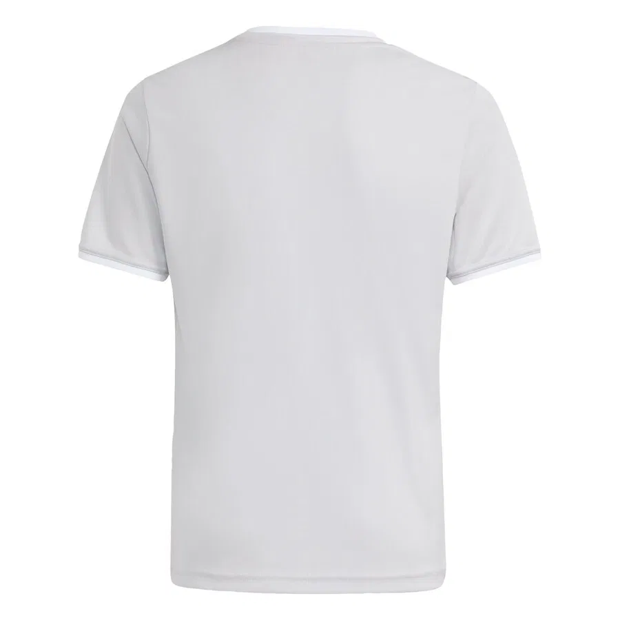 Футболка ADIDAS PERFORMANCE Performance Shirt 'Entrada26' цвета «камень» — фото 2