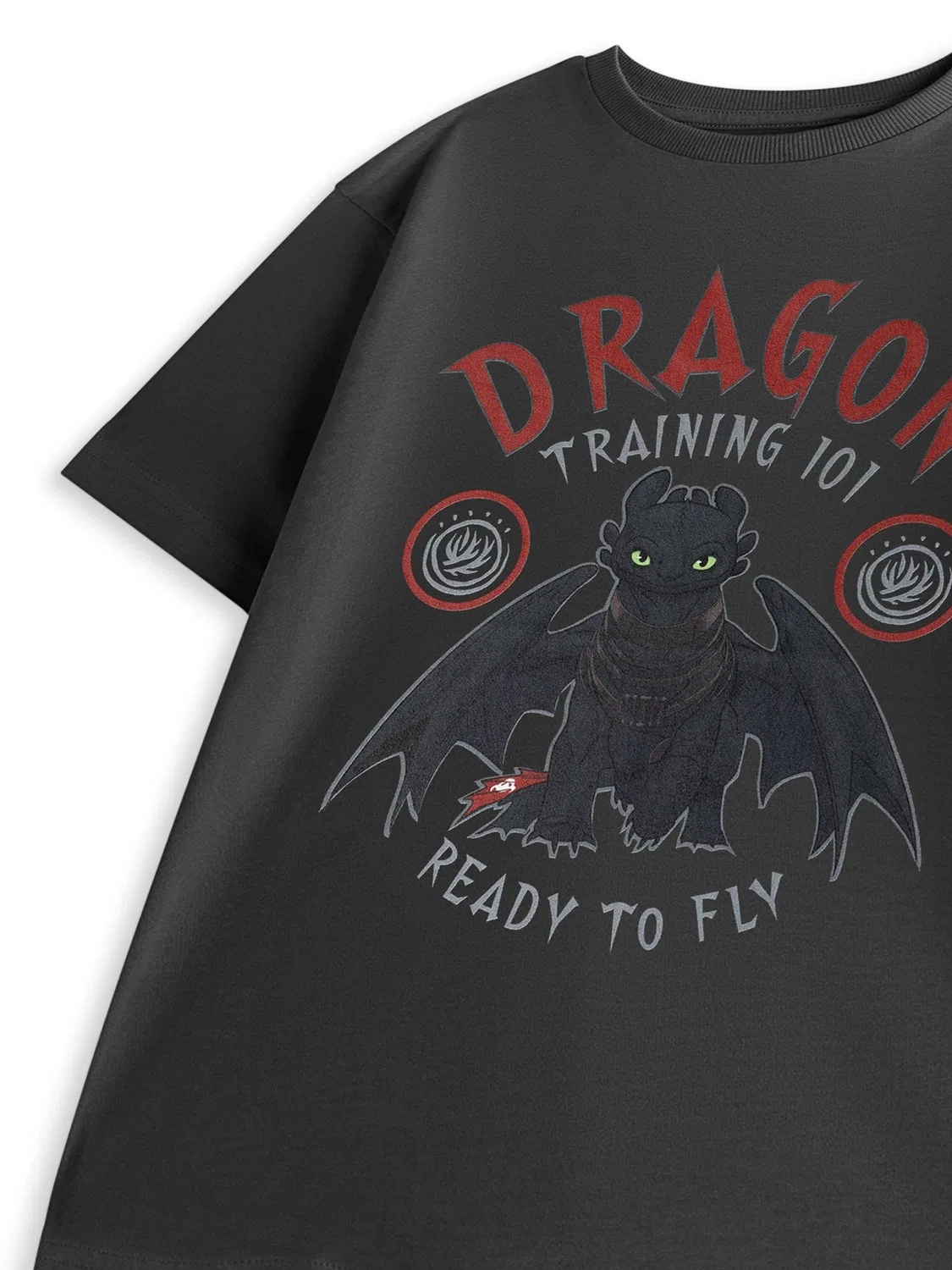 Футболка How To Train Your Dragon Training Vanilla Underground, серый — фото 3