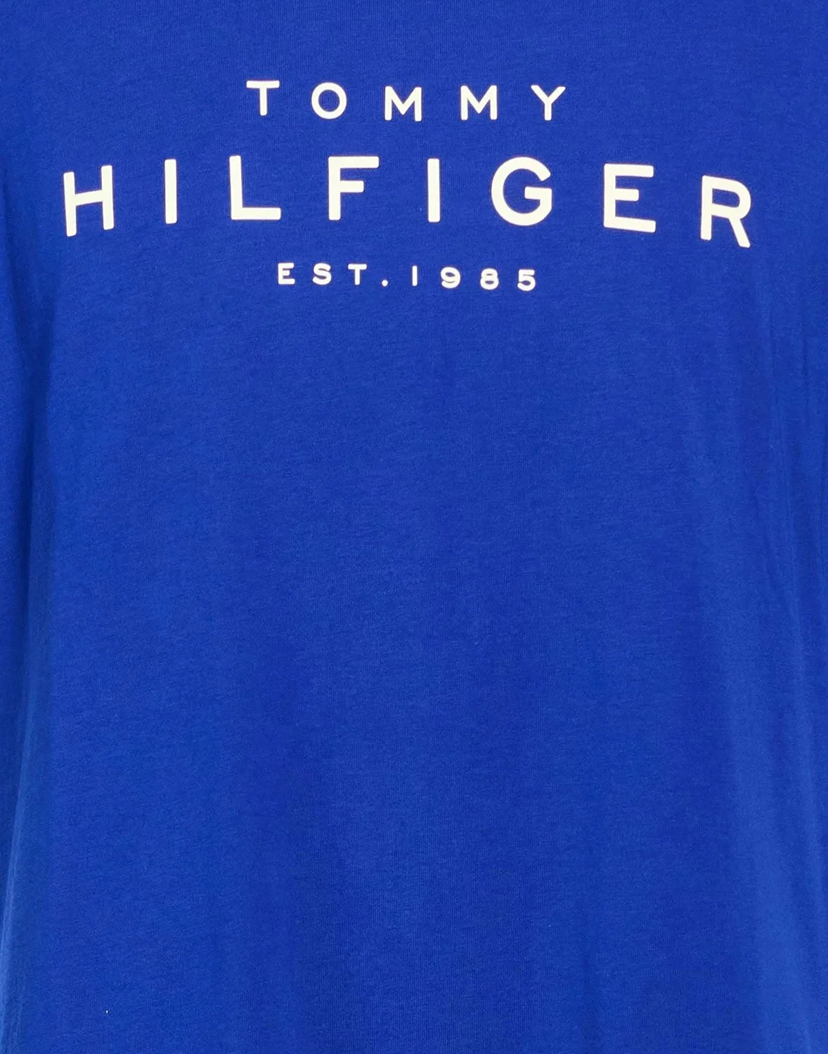 Футболка с логотипом TOMMY HILFIGER синяя — фото 4