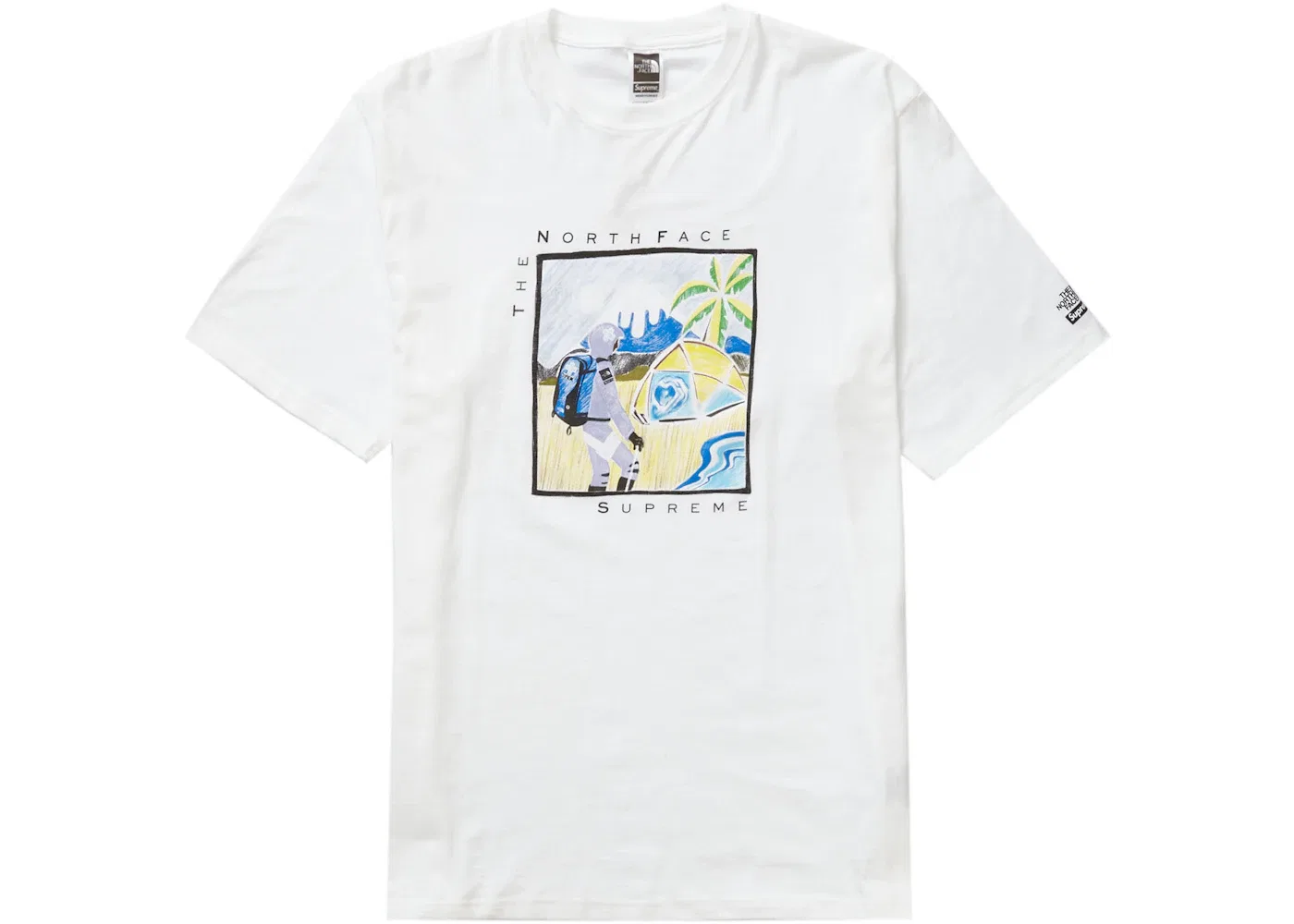 Мужская футболка с принтом Supreme The North Face, White