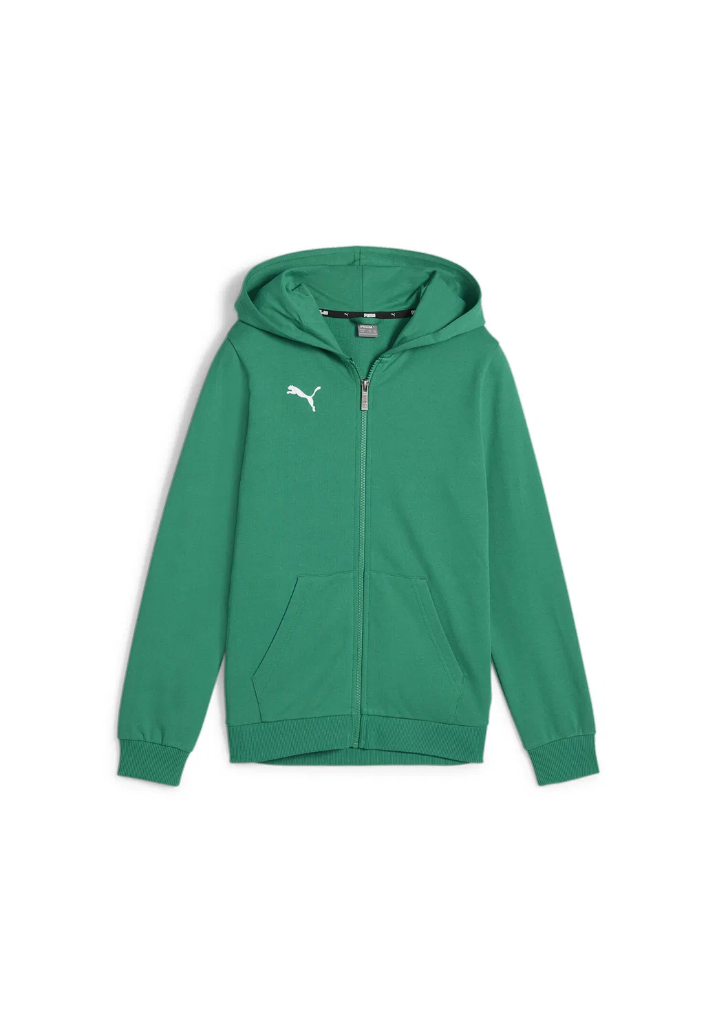 Детское худи teamGOAL Casuals Hooded Jacket Jr Puma, Grun