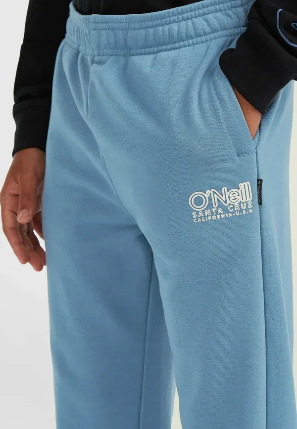 Брюки хлопковые Essentials jogging O'Neill, Mozart Blue, синий — фото 4