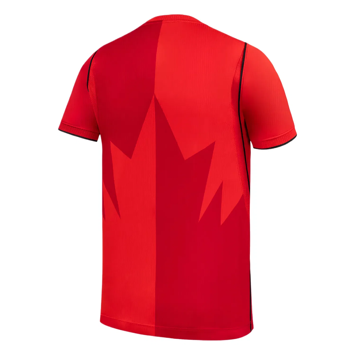 Детская футболка Nike Dri-FIT с принтом Canada 2026 Stadium Home, красный — фото 2