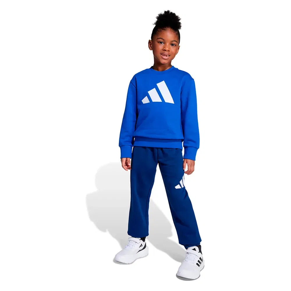 Комплект спортивных штанов Adidas Essentials Joggers, синий