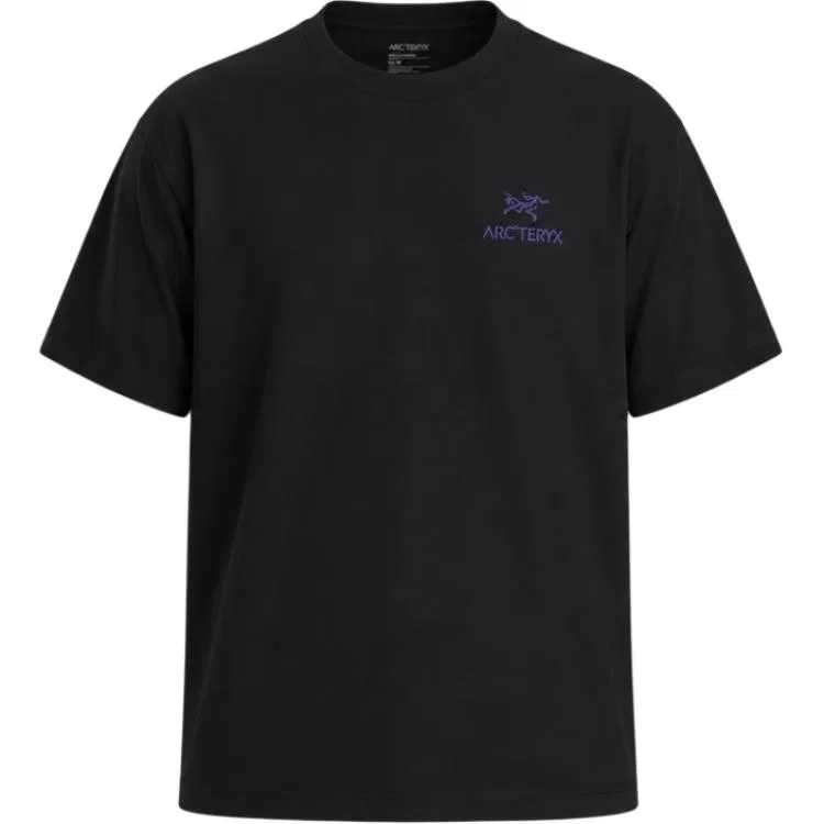 Футболка с круглым вырезом, умеренная, KRAGG, Arcteryx, Black/Violet