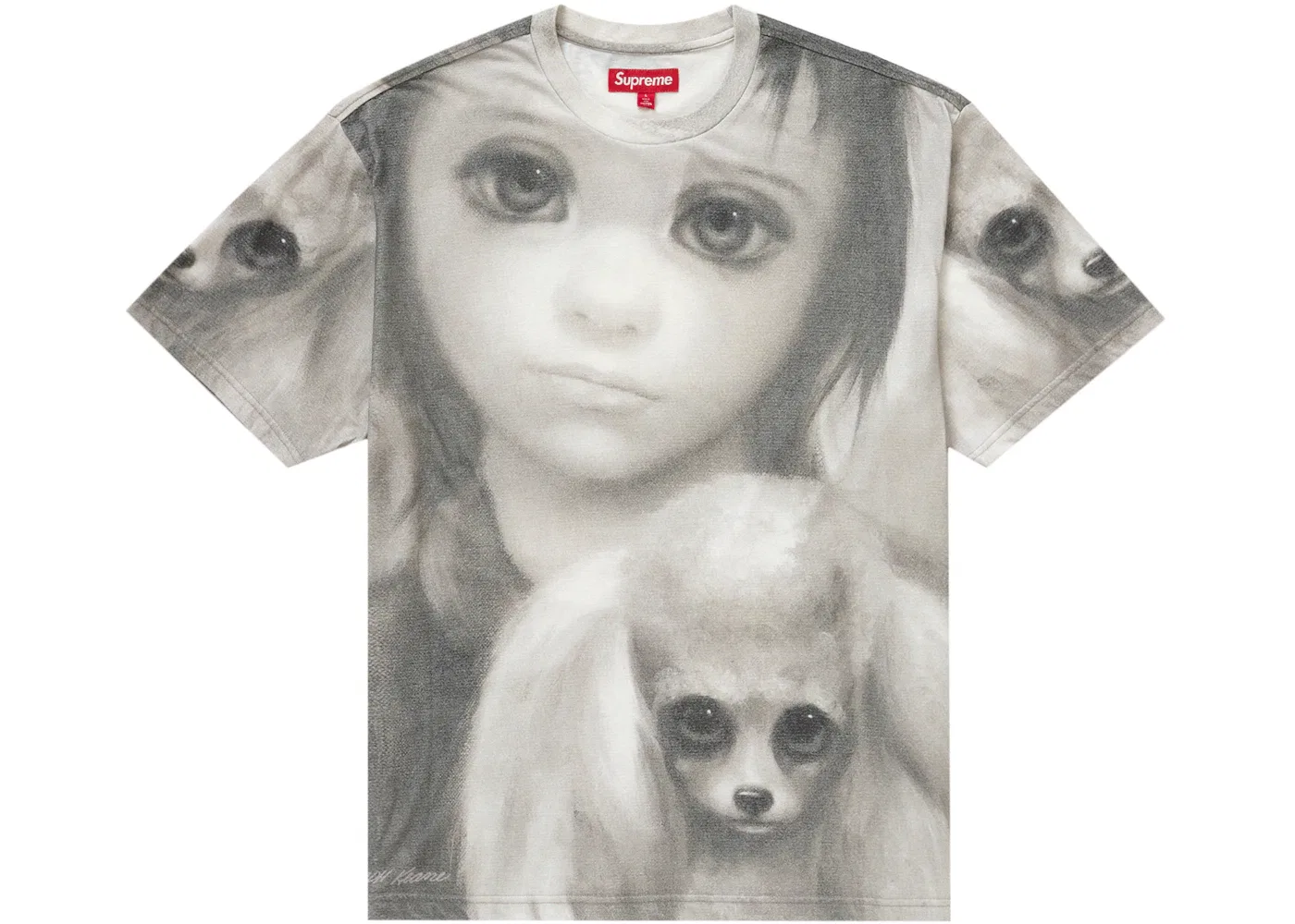 Мужская футболка с принтом Best Friends Supreme, Grey