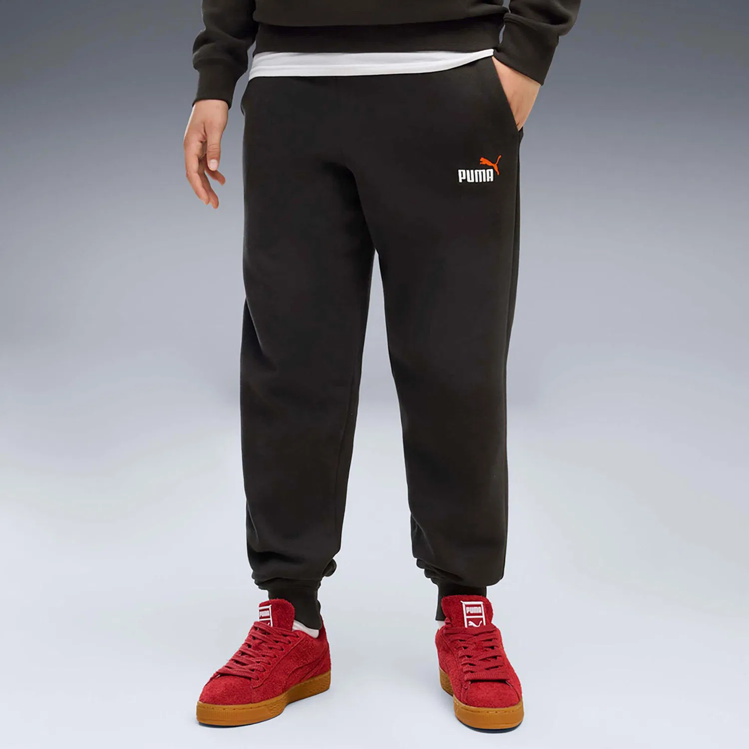 Детские спортивные штаны с логотипом Puma Ess 2 Farbe Nr. 1 Logo Sweatpants Fl B, Puma, Черный — фото 2