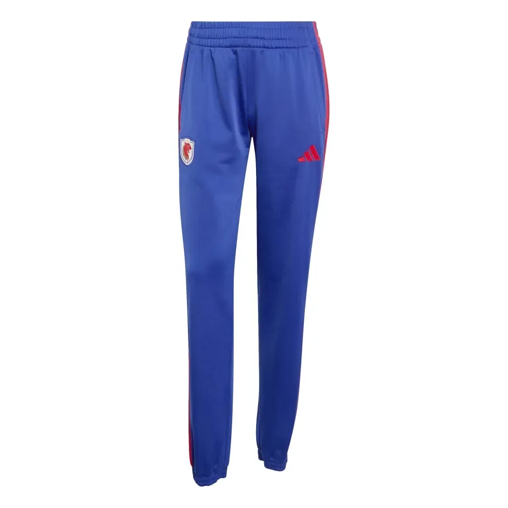 Женские спортивные штаны с принтом Olympique De Lyon Adidas, Blue — фото 3