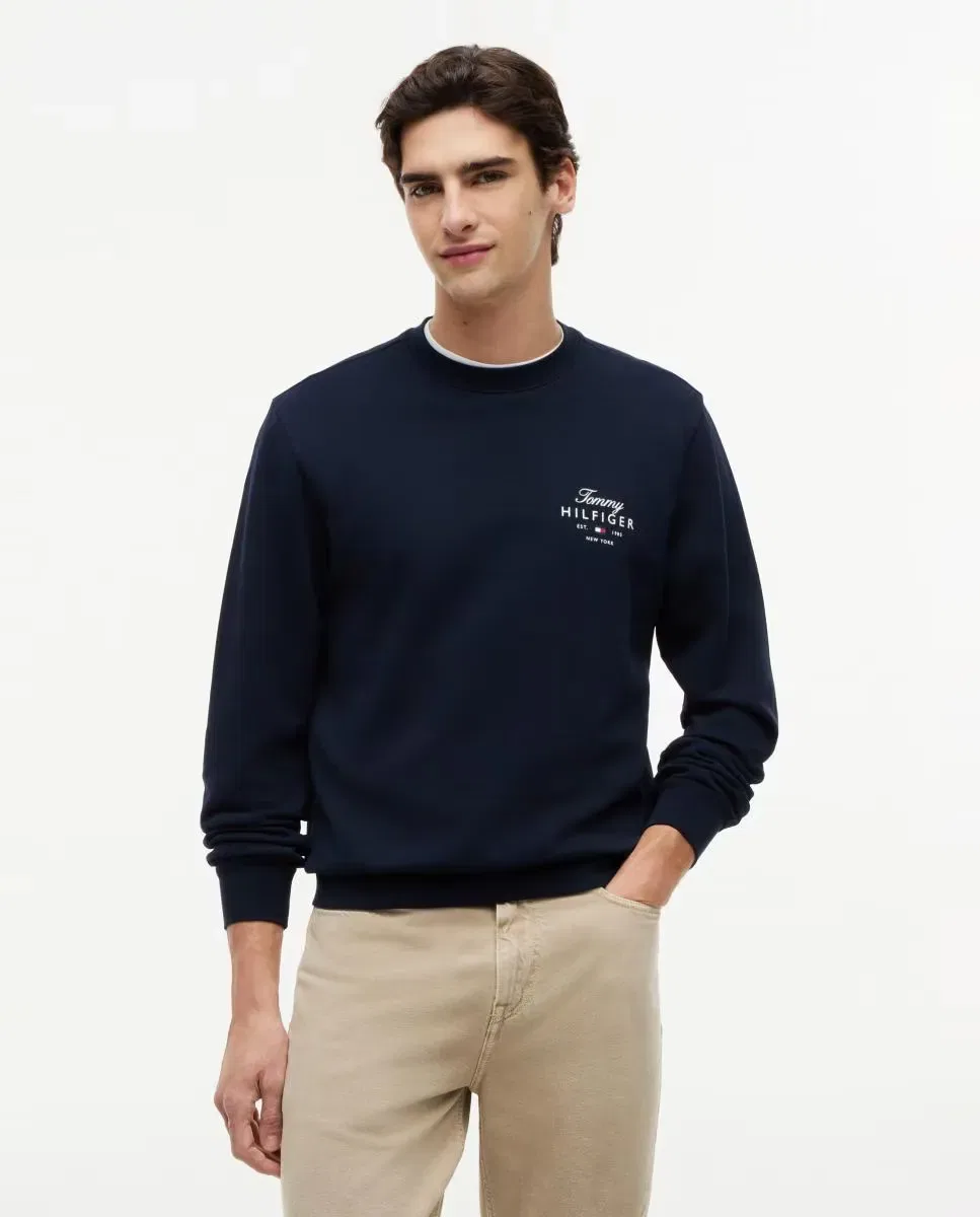 Мужская худи с принтом Tommy Hilfiger, Azul Marino