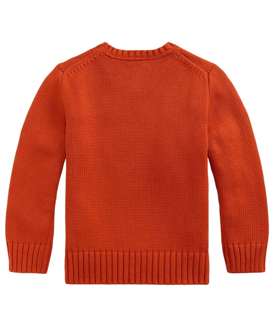 Свитер с круглым вырезом Polo Ralph Lauren, Varsity Orange — фото 2