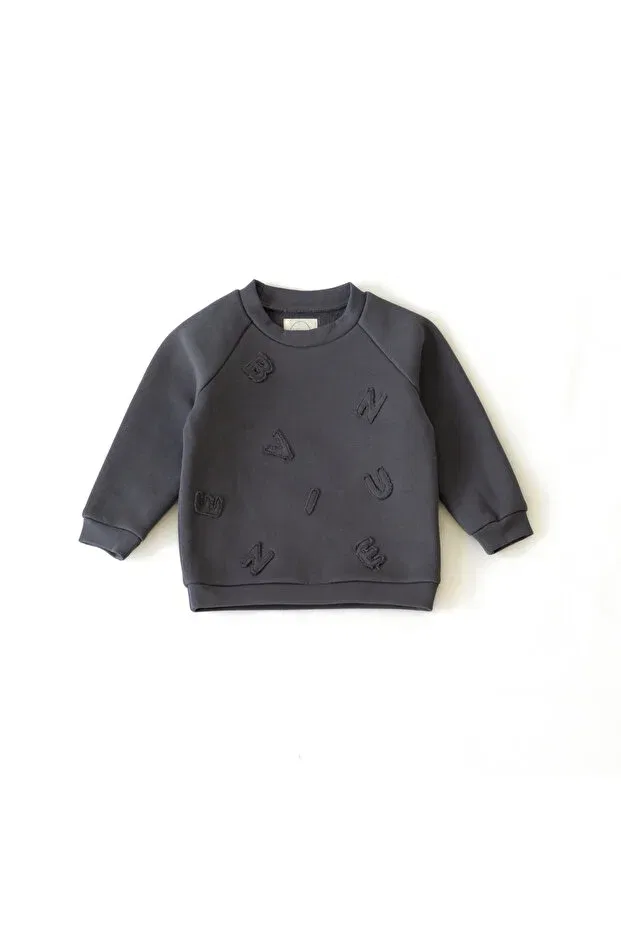Детские свитшот для девочек с длинным рукавом Bienvenu Baby, Anthracite