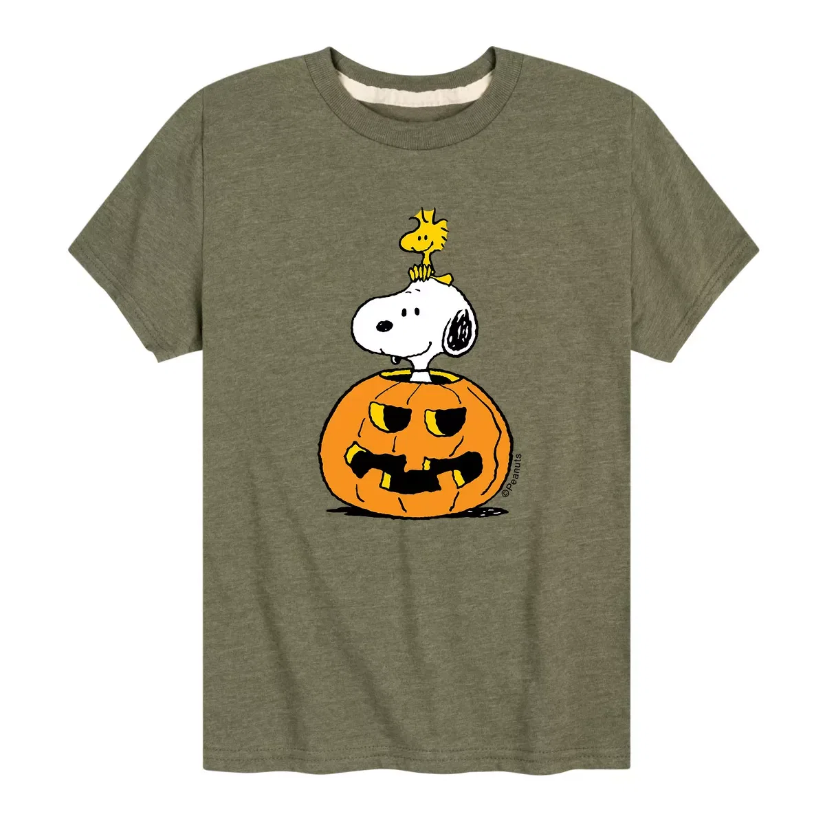 Детская футболка с коротким рукавом с принтом Snoopy Woodstock Pumpkin Peanuts, Heather Military Green