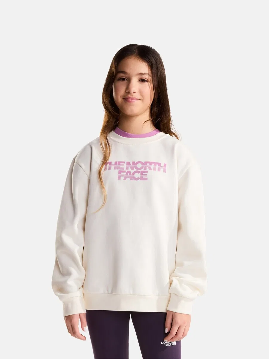 Толстовка THE NORTH FACE 'Chalbi' светло-бежевого цвета — фото 2