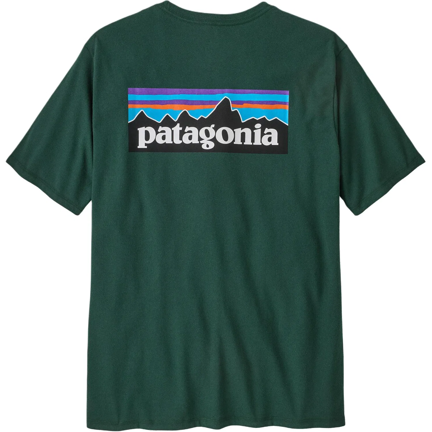 Мужская футболка с коротким рукавом Patagonia Responsibili Tee, Waterfall Green/CASG