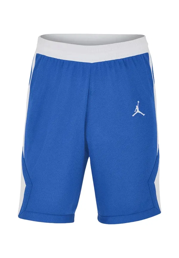 Спортивные шорты Jordan, синий