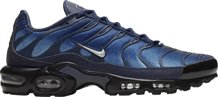 

Кроссовки Nike Air Max Plus, синий