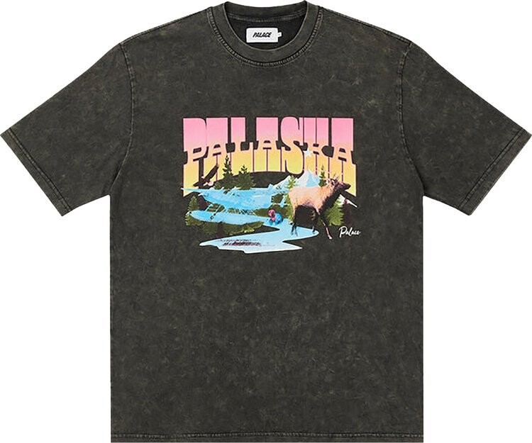 

Футболка Palace Palaska Dye T-Shirt 'Black', черный