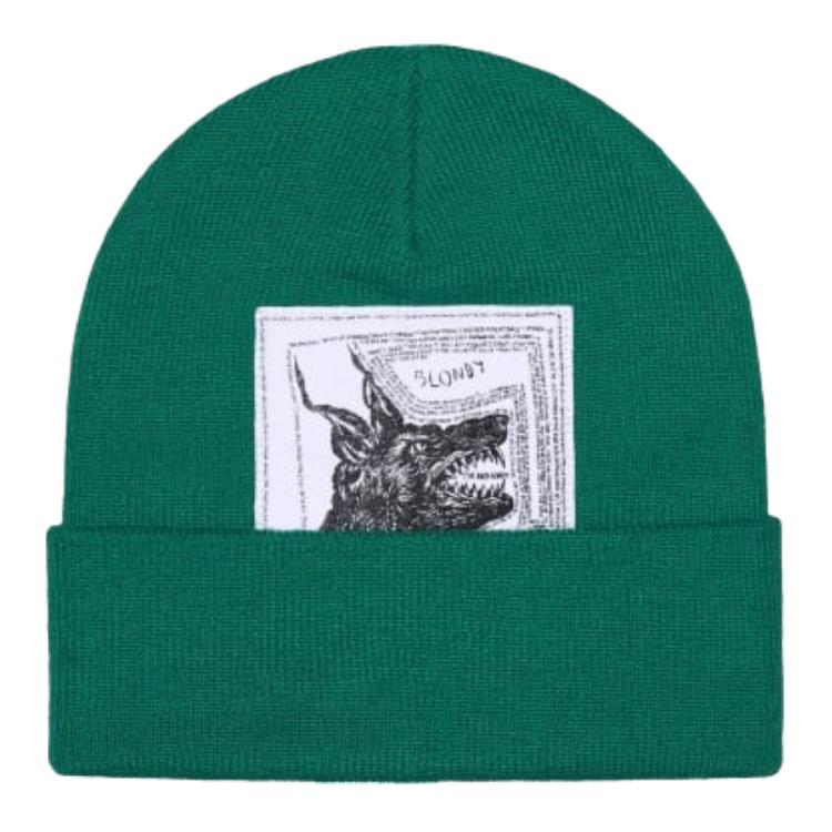 

Supreme Шапка The North Face, Green