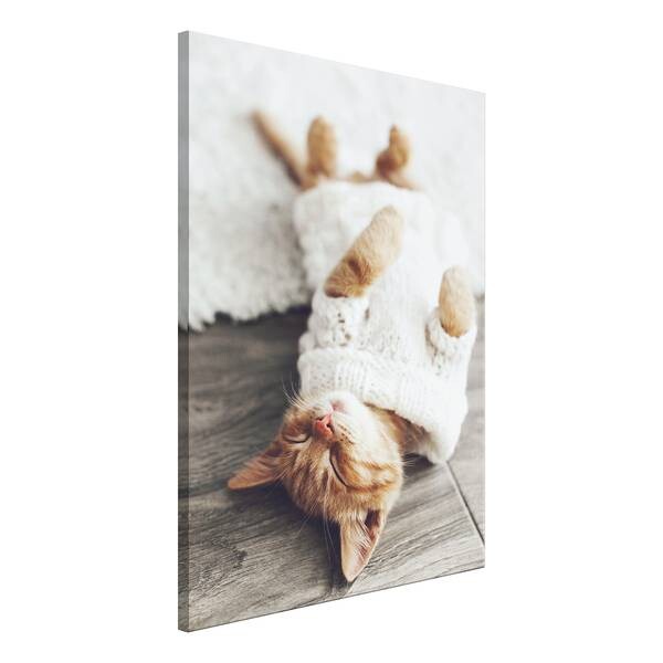 

Фреска Artgeist Lazy Cat, разноцветный