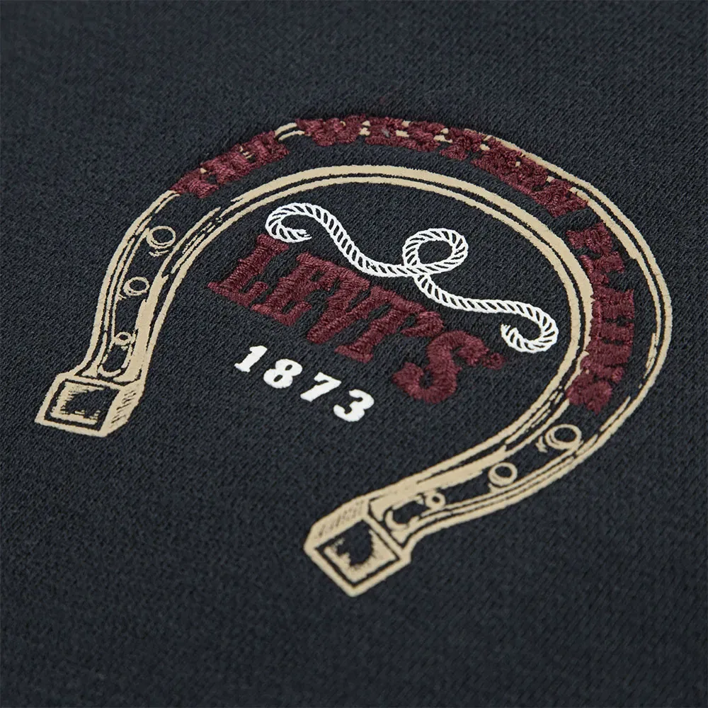 Худи Levi's 3EN426, черный — фото 4