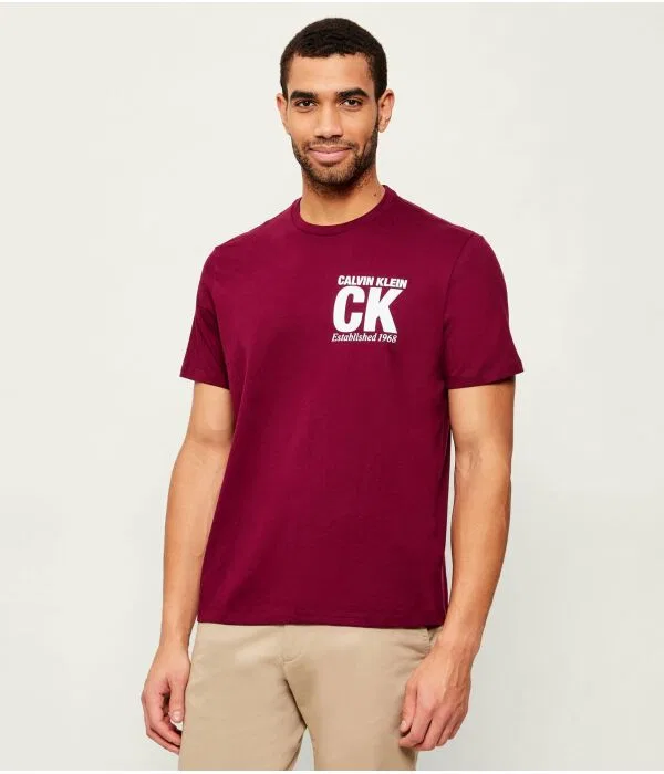 Мужская футболка с принтом Corner Graphic Calvin Klein, Bordeaux