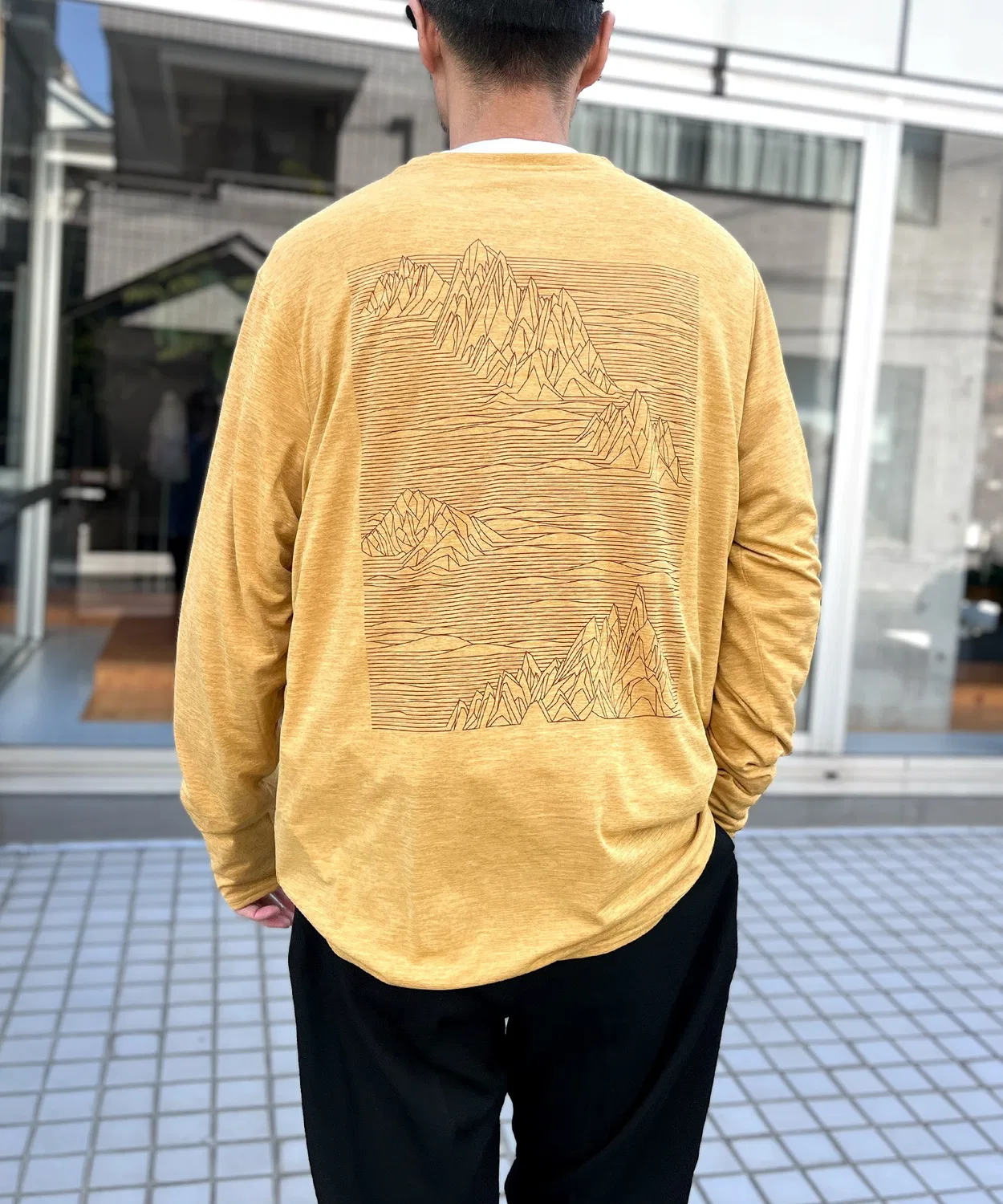 Мужская футболка с длинным рукавомс графическим принтом Cap Cool Daily Graphic Shirt patagonia, Camel — фото 2