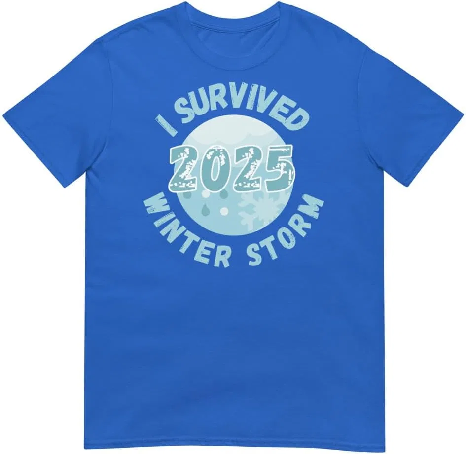 Мужская футболка с коротким рукавом I Survived Winter Snow Storm 2025, королевский синий