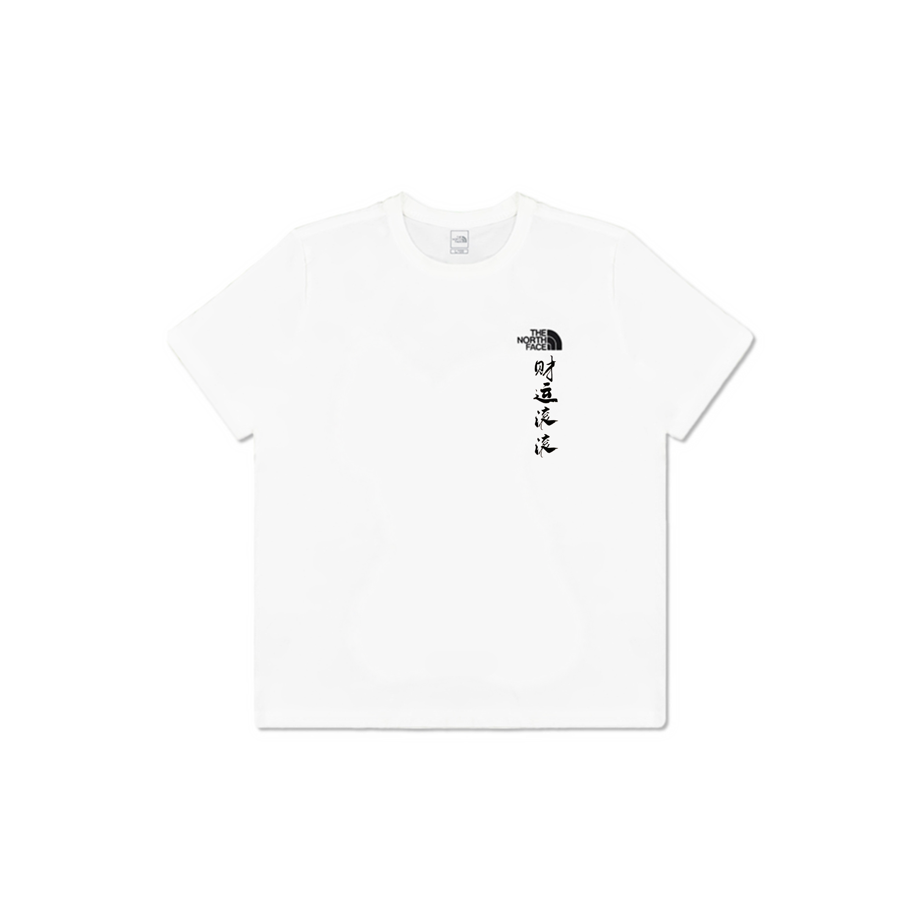 

THE NORTH FACE Футболка мужская белая, Белый, THE NORTH FACE Футболка мужская белая