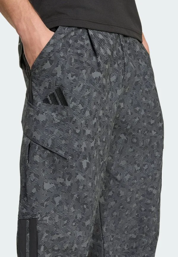 Брюки для активного отдыха aop Adidas Terrex, Grey Six/Carbon/Black — фото 3