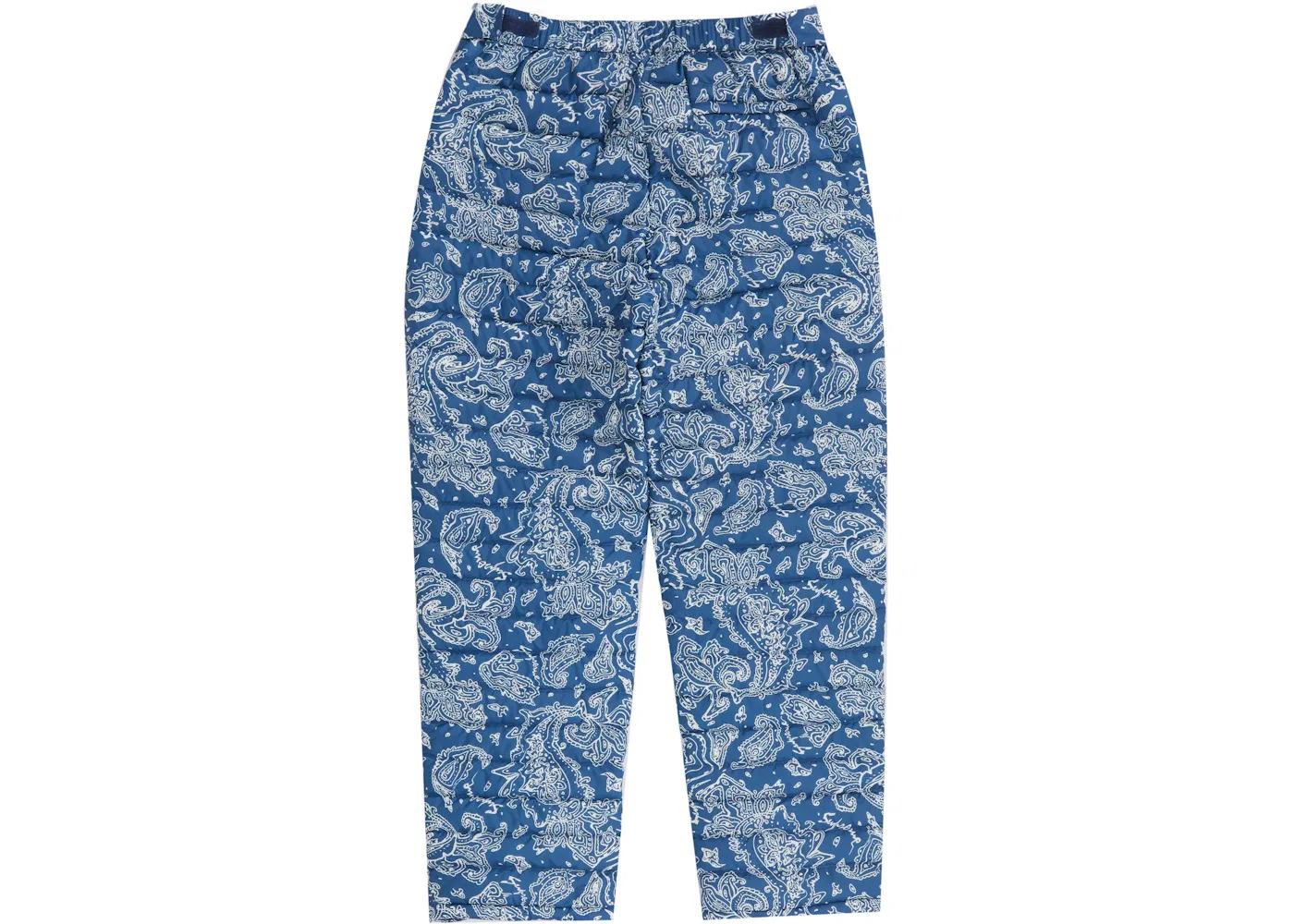 Мужские штаны с принтом Pant (FW22) Supreme, Blue Paisley — фото 2