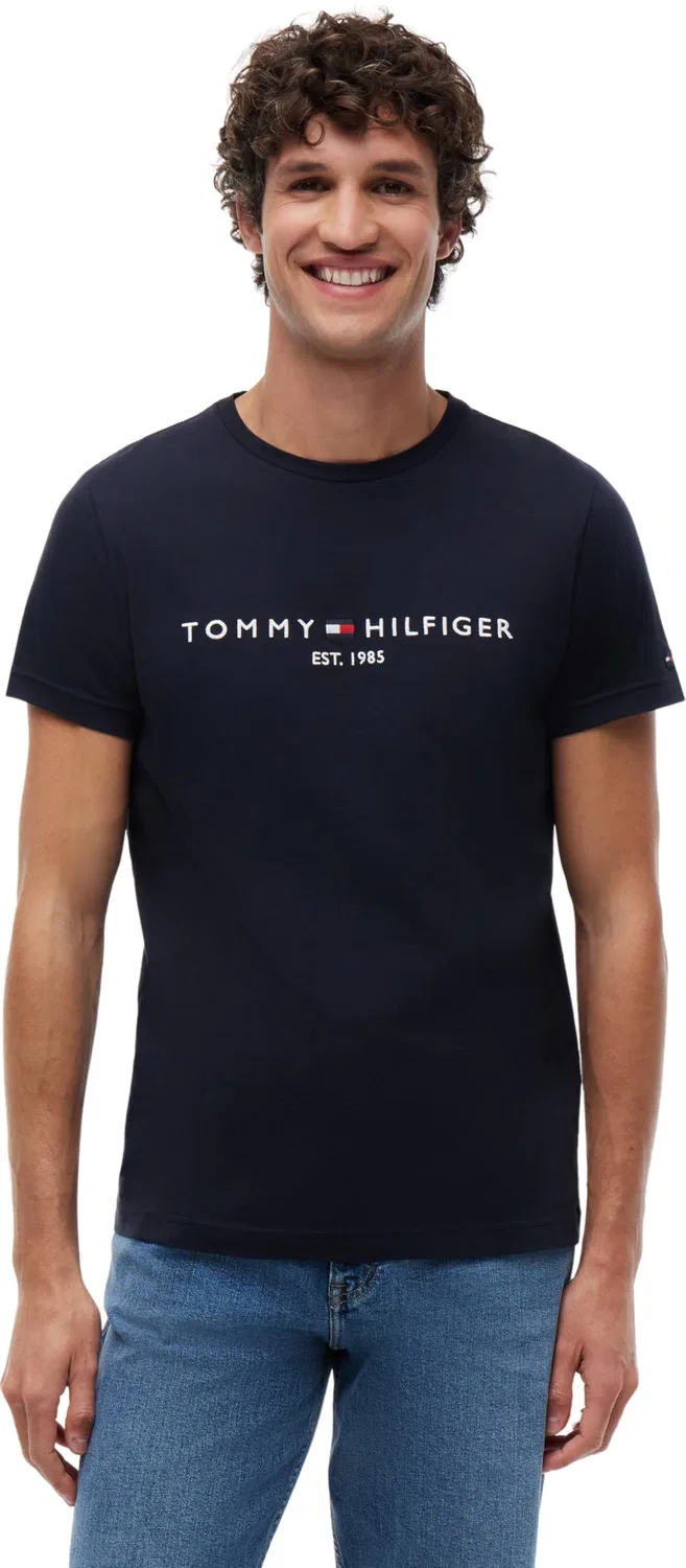Мужская футболка с коротким рукавом Core Tommy Logo Tommy Hilfiger, Sky Captain