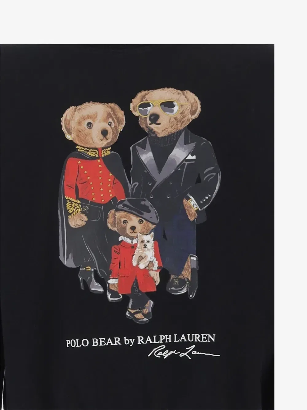 Толстовка Polo Bear Family POLO RALPH LAUREN KIDS, черный — фото 3