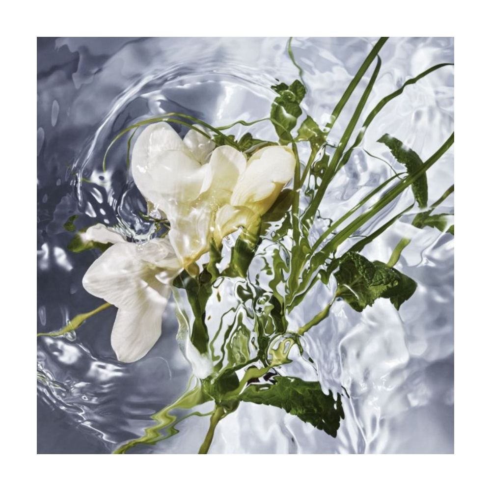 Guerlain Aqua Allegoria Herba Fresca: Аромат свежести и легкости — фото 3