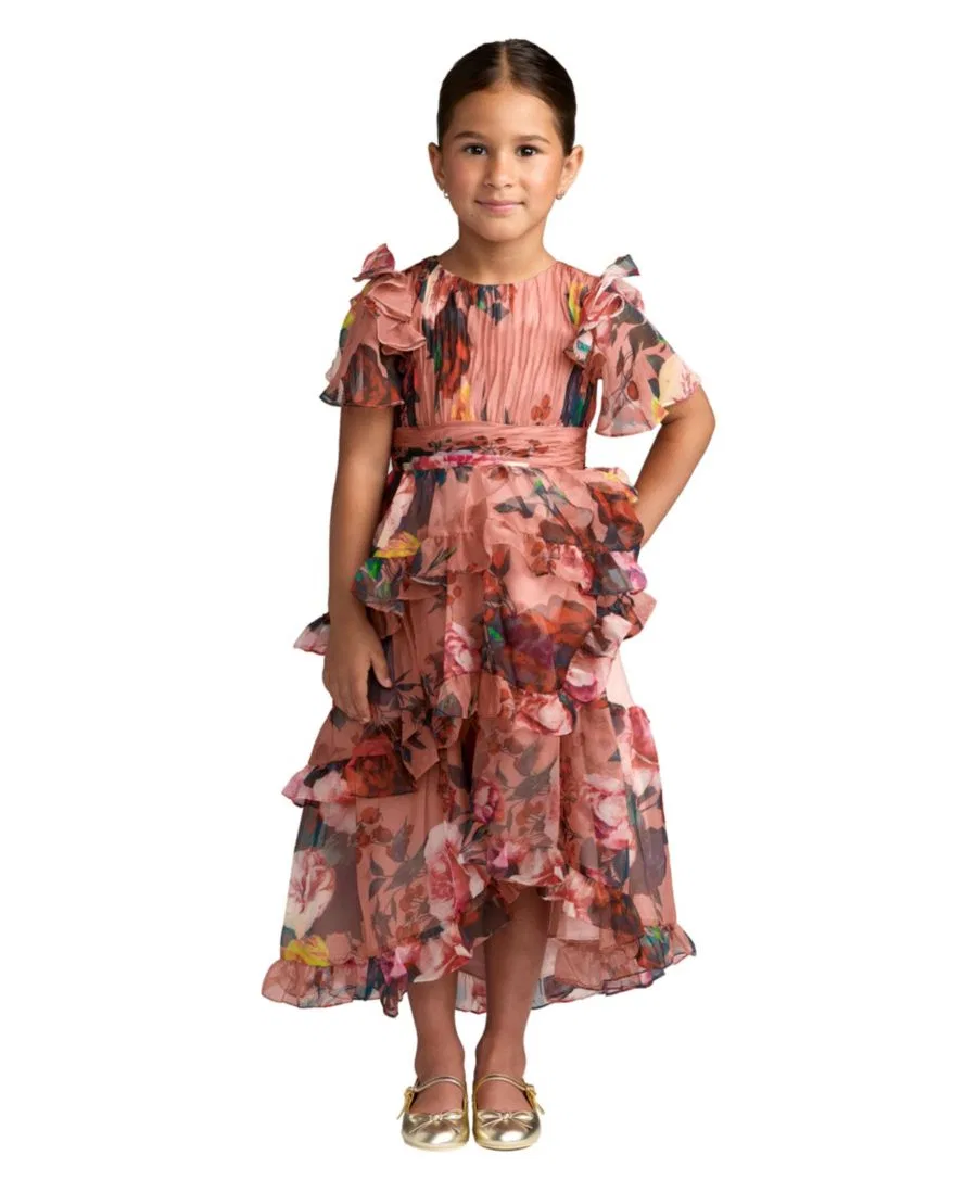 Платье-макси из шифона с принтом Ruffle High-Low Mac Duggal, Rose Multi