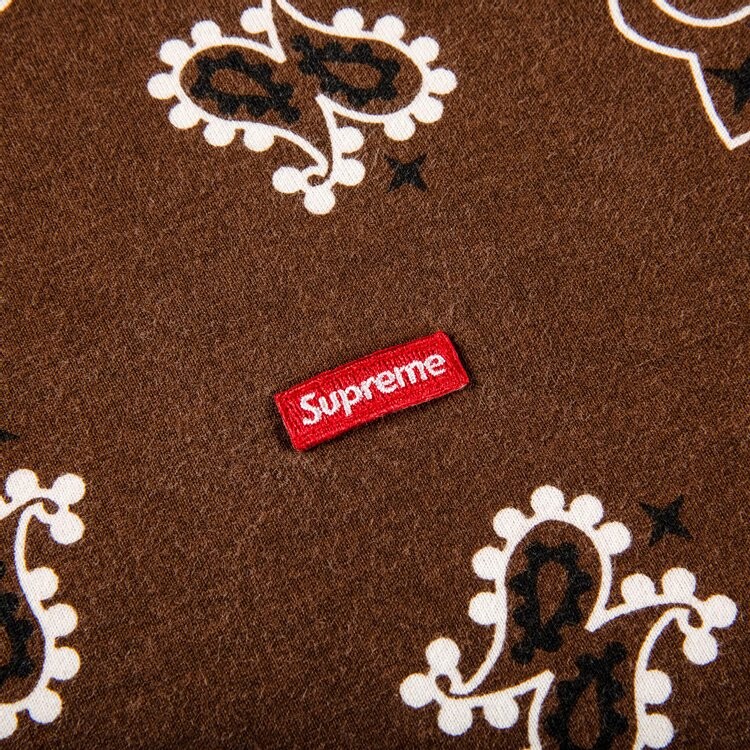 Футболка Supreme Small Box Tee 'Brown Bandana', коричневый — фото 3