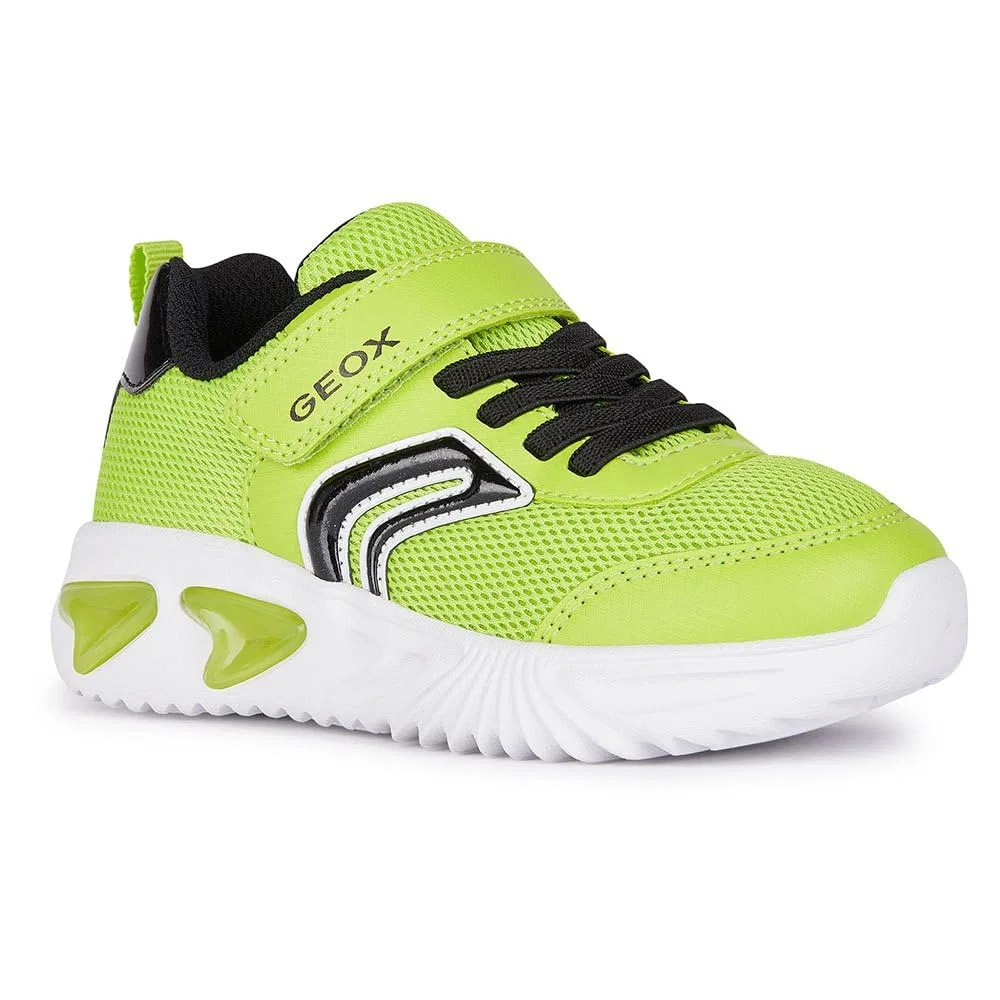 Детские кроссовки для мальчиков с липучкой J Assister Boy C Geox, Lime Black — фото 3