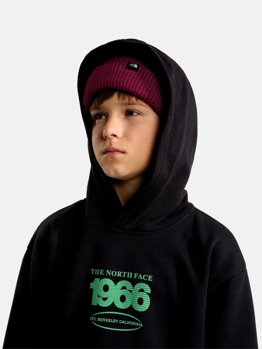 Толстовка THE NORTH FACE черного цвета — фото 4