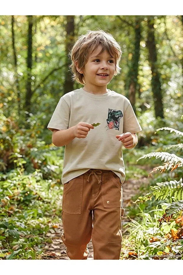 Детская футболка для мальчиков с принтом Rex dinosaur print Civil Boys, Stone Color
