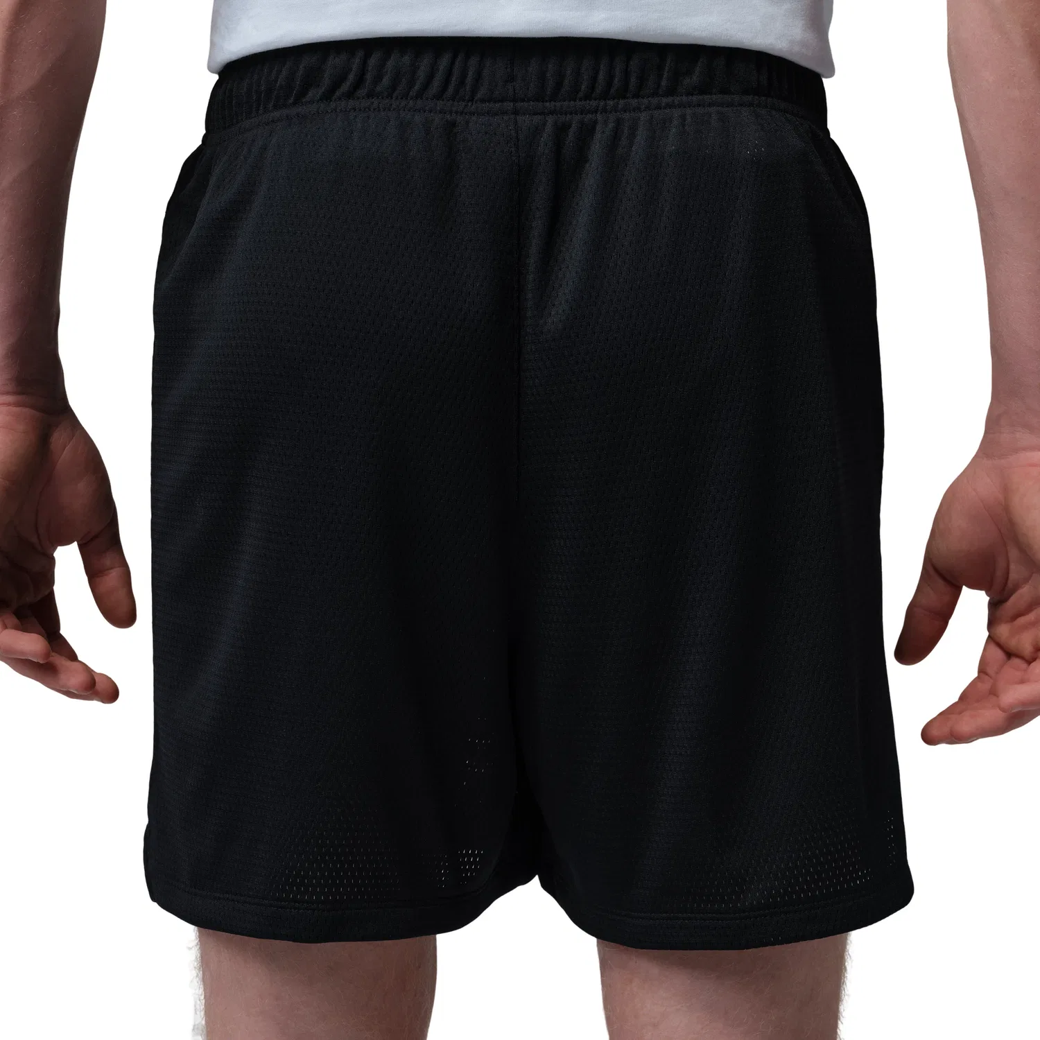 Мужские шорты с сетчатым принтом Jordan Dri-FIT Mesh Graphic Shorts, черный — фото 3