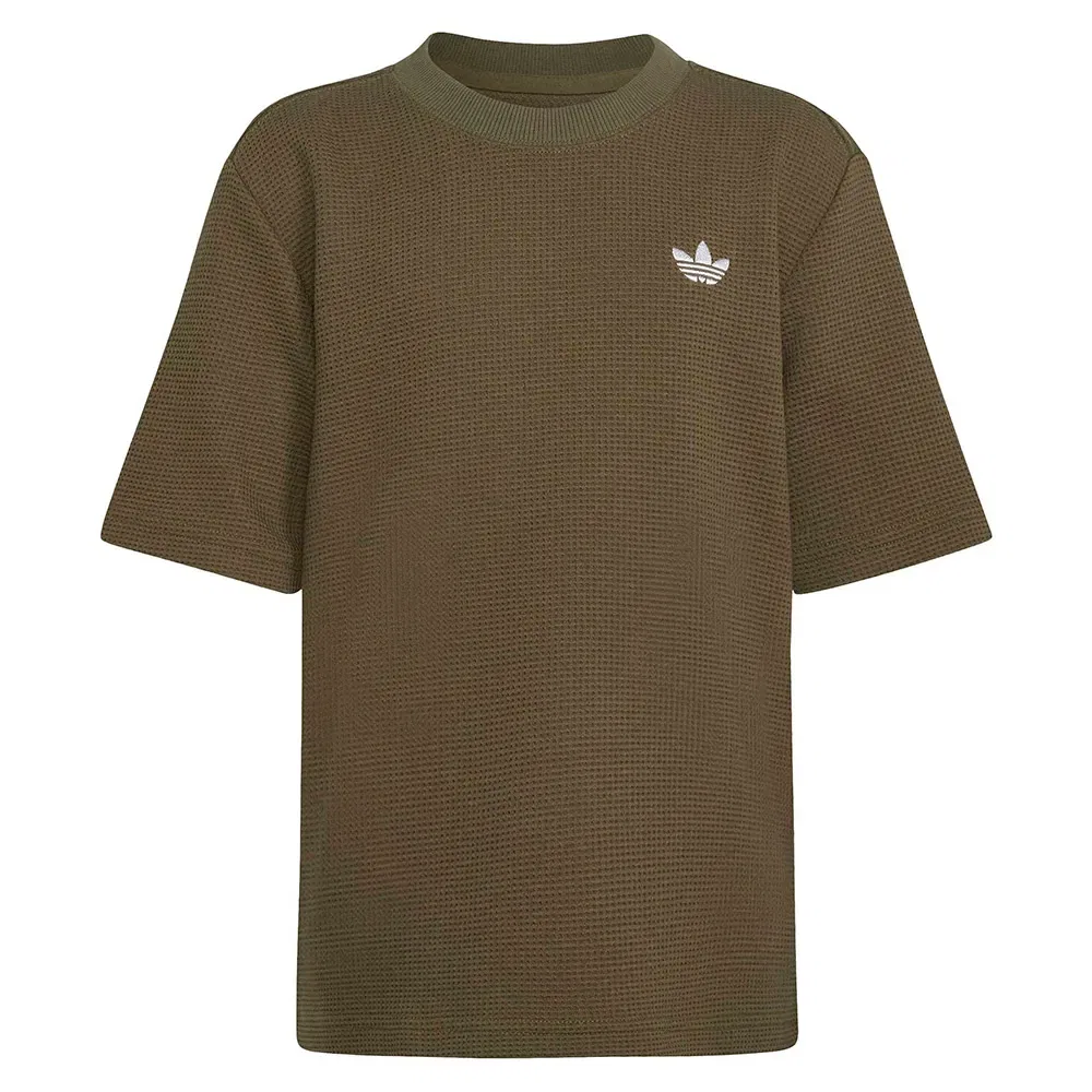 Комплект из футболки и шорт Adidas Originals, зеленый — фото 4