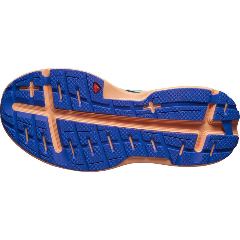 Кроссовки для бега Aero Glide W Ckatoo/Cntlup/Surf W Salomon, мультиколор — фото 2