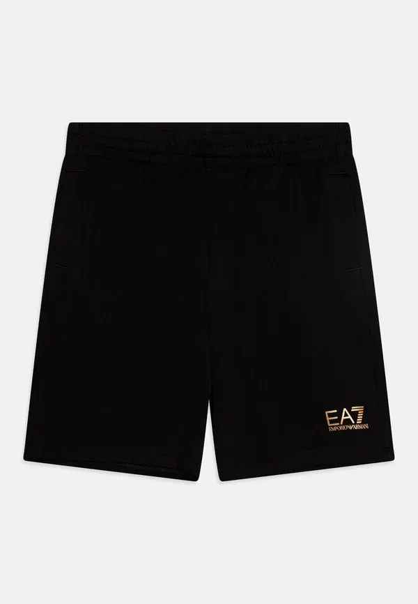 Спортивные брюки Ea7 Emporio Armani, черный/золотой
