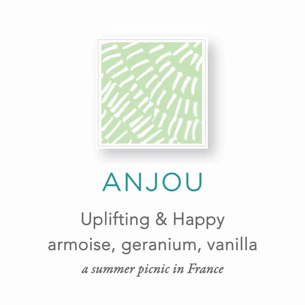 Гель для душа и рук Zents Ageless Aloe Moisture Anjou, 295.74 мл — фото 2