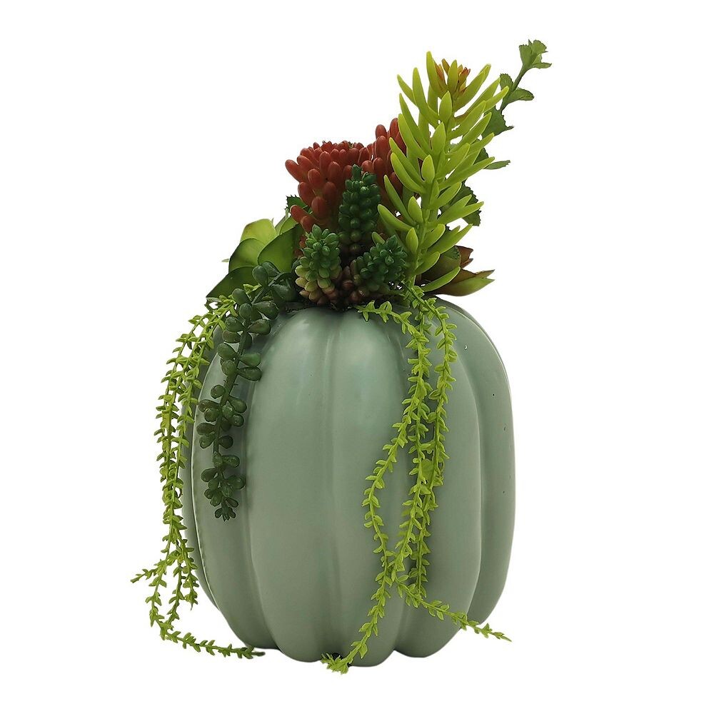 

Celebrate Together Осенний искусственный сочный декор для пола из тыквы Celebrate Together Fall, зеленый