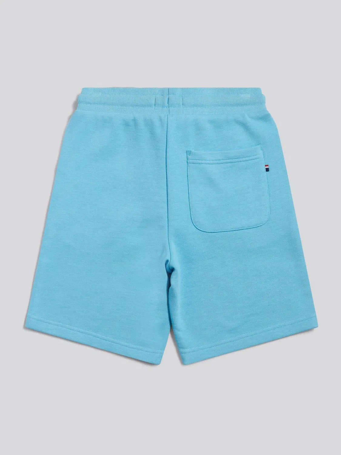 Шорты спортивные Double Horsemen Sweat Shorts U.S. Polo Assn., голубой — фото 2