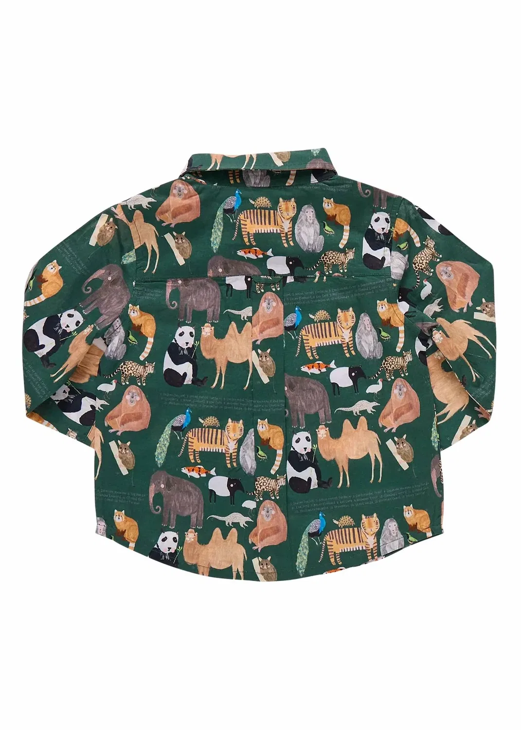 Детская рубашка для мальчиков с длинным рукавом и принтом с животными Jack Animals Pink Chicken, зеленый — фото 2