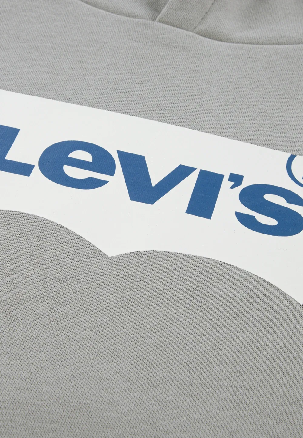 Худи унисекс с принтом "крыло летучей мыши" Levi'S, Ghost Gray — фото 3