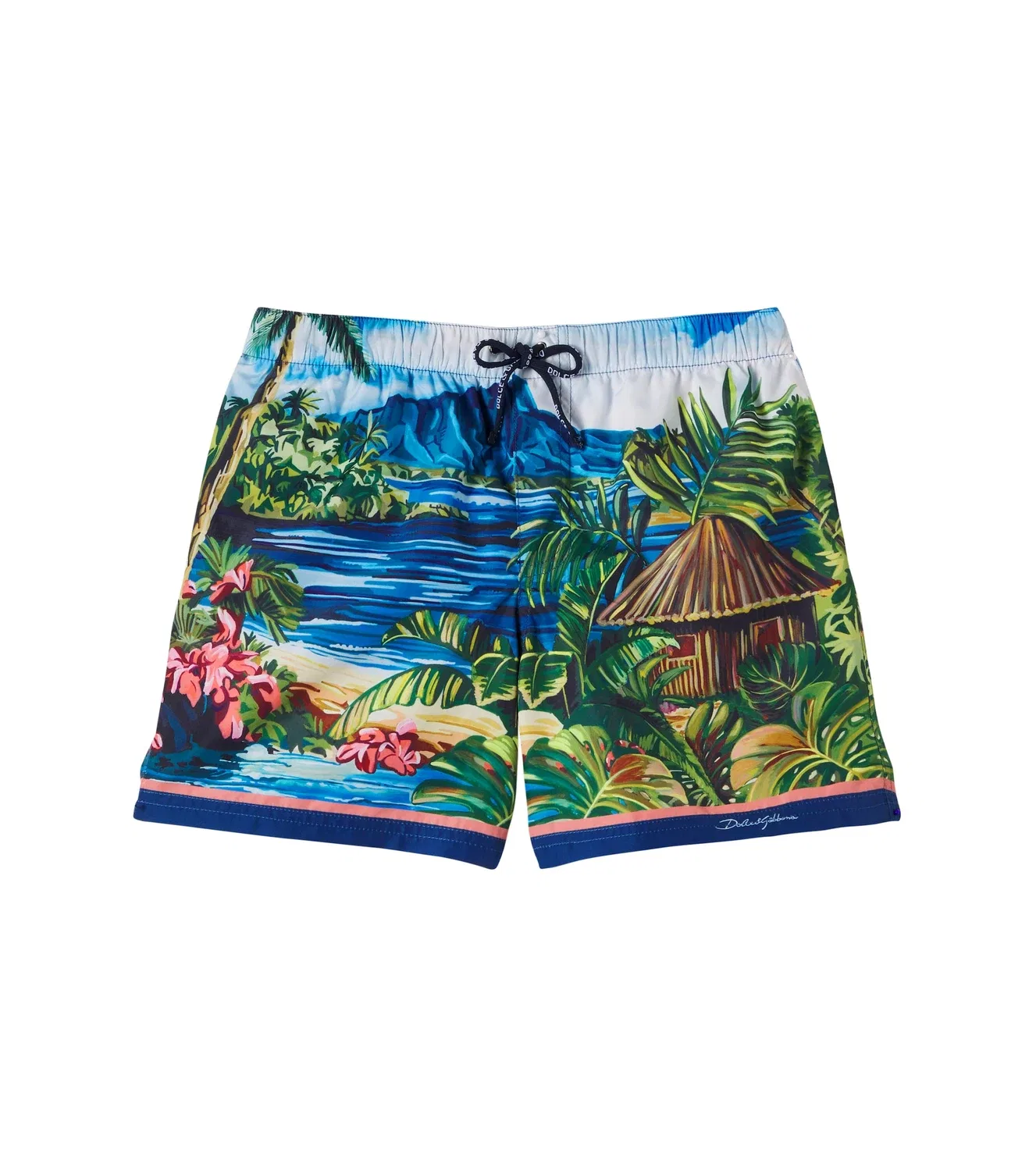 Плавки с принтом Hawaii, Dolce&Gabbana Kids, мультиколор